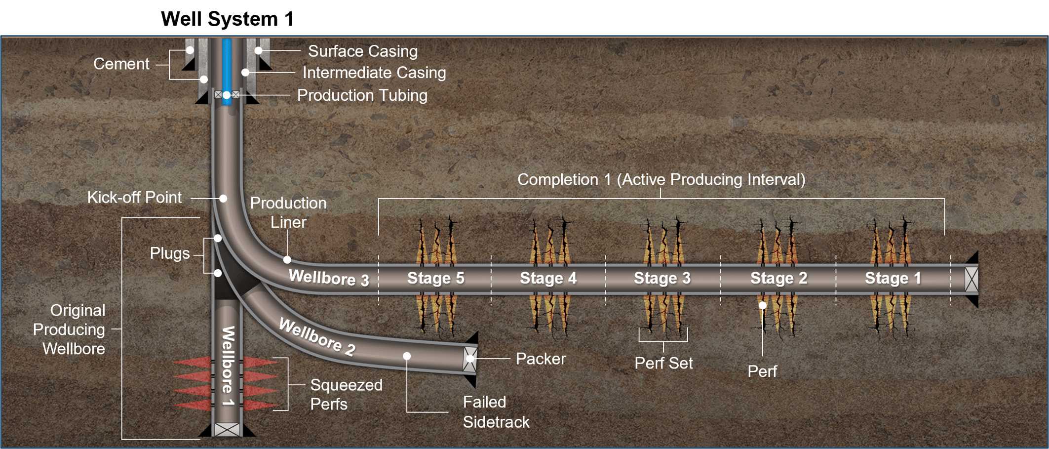 Well Data Oil & Gas Database & Records at TGS